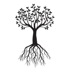 Root tree Royalty Free Vector Image - VectorStock