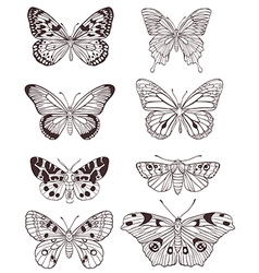 Set of hand drawn butterflies Royalty Free Vector Image