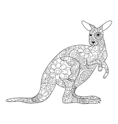 Kangaroo coloring for adults Royalty Free Vector Image