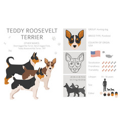 teddy roosevelt terrier cost