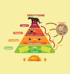 Diagram showing arctic energy pyramid Royalty Free Vector