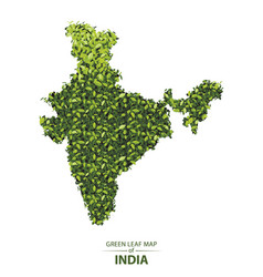 Forest Map Vector Images Over 5 900