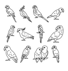 Parrot Outline Vector Images (over 1,800)