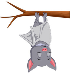 Bat & Sleep Vector Images (69)