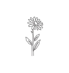 Marigold flower outline Royalty Free Vector Image