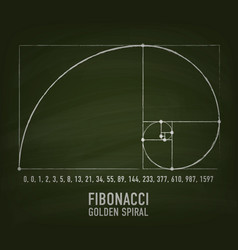 Fibonacci golden ratio Royalty Free Vector Image