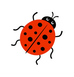 Cute ladybug cartoon Royalty Free Vector Image