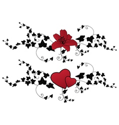 Lily and ivy Royalty Free Vector Image - VectorStock
