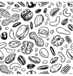 Nuts seamless pattern seeds and granule corn and Vector Image