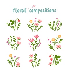 Flowers and leaves compositions collection Vector Image