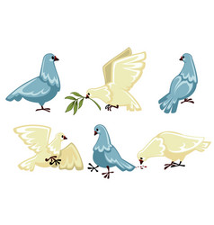 Dove Royalty Free Vector Image - VectorStock