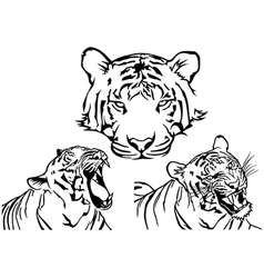 Tiger Tattoos Vector Images Over 4 900