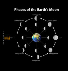 Diagram showing effect earth axis Royalty Free Vector Image