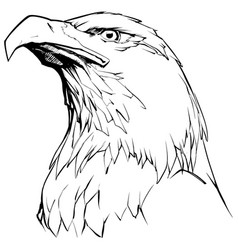 Eagle Head Vector Images (over 13,000)