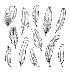 Feather Set Hand Drawn Royalty Free Vector Image