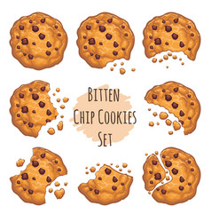 Cute choco chip cookies cartoon Royalty Free Vector Image