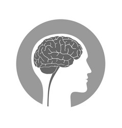 Brain top view Royalty Free Vector Image - VectorStock