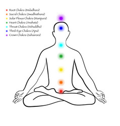 Meditating human silhouette with chakra signs Vector Image