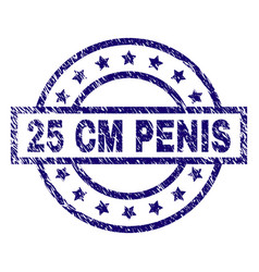 25 cm penis