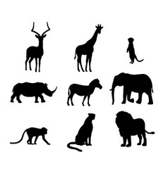 Wild animals Royalty Free Vector Image - VectorStock