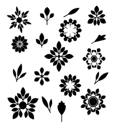 Floral design elements Royalty Free Vector Image