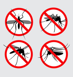 Dengue Royalty Free Vector Image - VectorStock