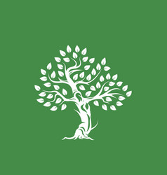 Olive Tree Vector Images (over 9,400)