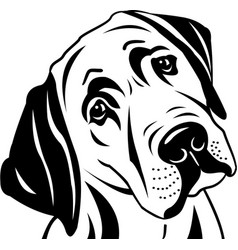 Labrador Vector Images (over 7,900)