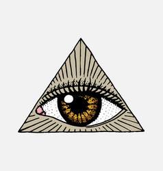 Face detailed seeing eye in triangle fashion Vector Image