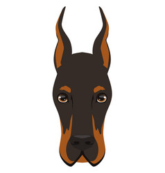 Doberman dog Royalty Free Vector Image - VectorStock