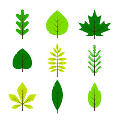 Tree Royalty Free Vector Image - VectorStock