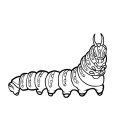 Funny colorful caterpillar Royalty Free Vector Image