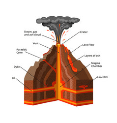 Volcano igneous eruption in the cross section Vector Image