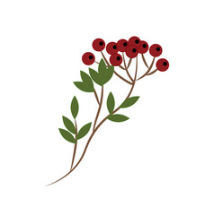 Branch Vector Images (over 240,000)