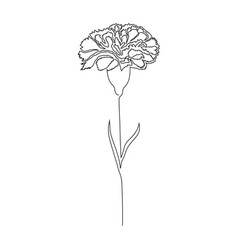 Outline Carnation Flower Clipart - Prbw1 Wallpaper