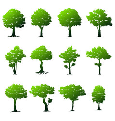 set of trees vector image