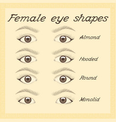 Various male eye shapes Royalty Free Vector Image