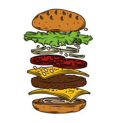 Burger Layer Vector Images (over 260)