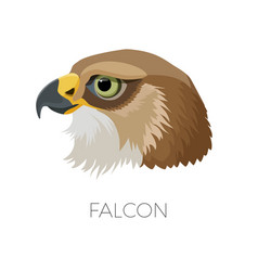 Falcon Vector Images (over 21,000)