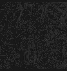 Abstract topographical map Royalty Free Vector Image