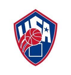 United states usa american basketball ball Vector Image