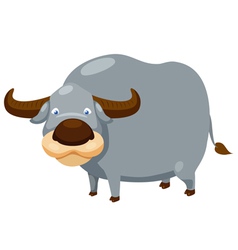 Buffalo Royalty Free Vector Image - VectorStock