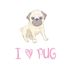 Pug puppy Royalty Free Vector Image - VectorStock
