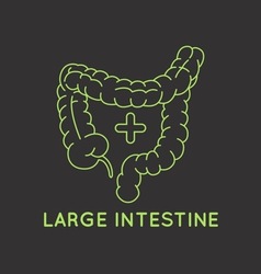 Intestine with magnifying glass colored icon Vector Image