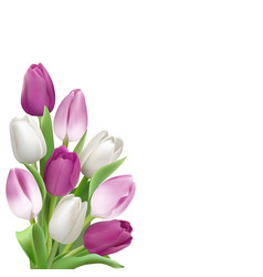 Card template with colorful tulips Royalty Free Vector Image