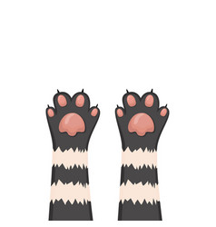 Cats Background Kitten Cartoon Paws Set Royalty Free Vector