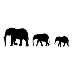 Elephant Royalty Free Vector Image - VectorStock