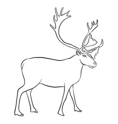 Drawing elk Royalty Free Vector Image - VectorStock