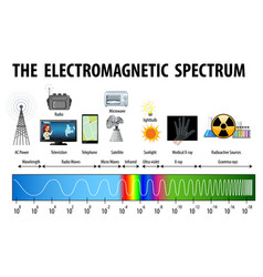 Electromagnetic spectrum diagram Royalty Free Vector Image