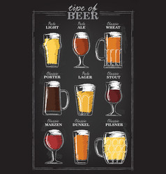 Beer types a visual guide to types of beer Vector Image